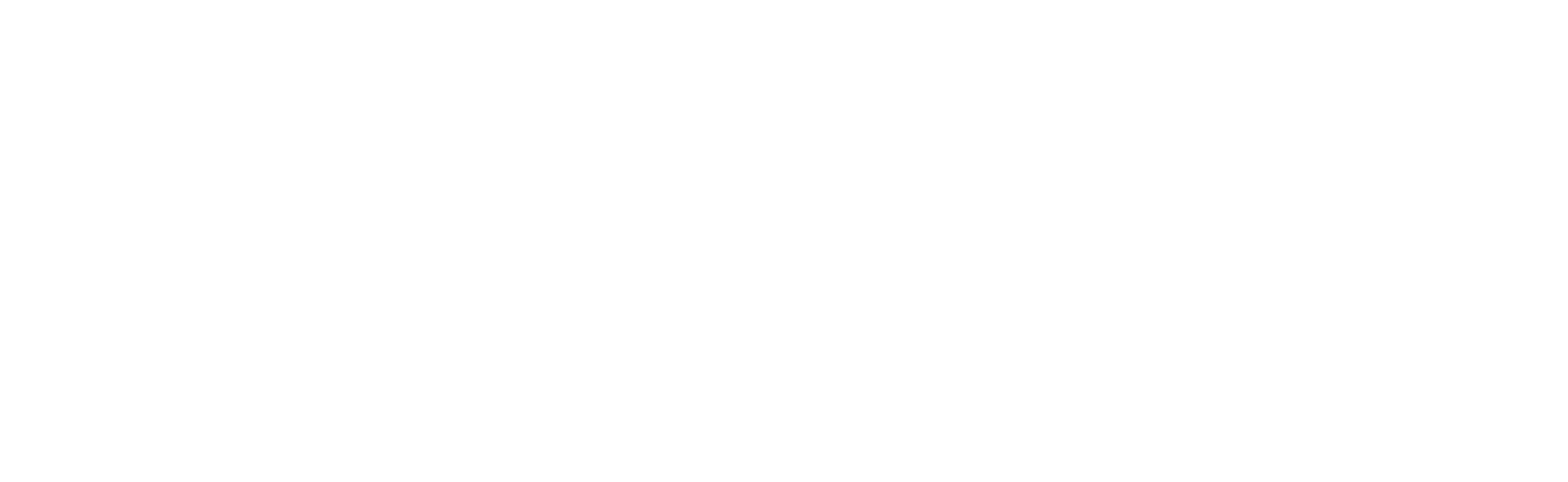 VeloxServ